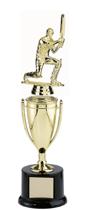trophy of cricket